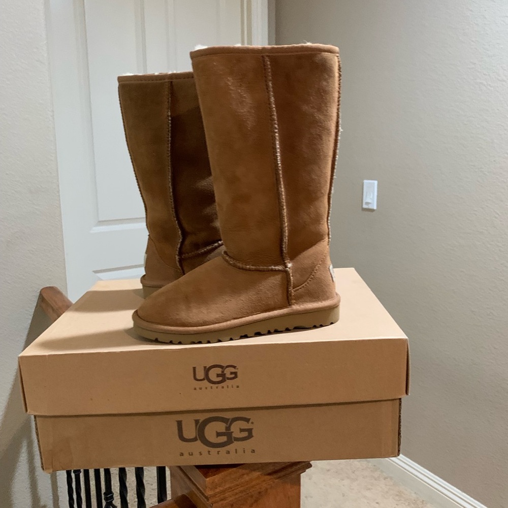 Kids-
CLASSIC II TALL BOOT-CHESTNUT